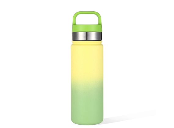 Insulated Water Bottle with 2-in-1 Lid 01602A