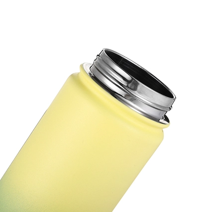 stainless steel insulated drink bottle