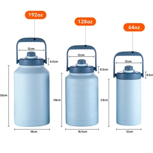 stainless steel insulated jug