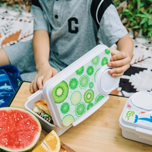 preschool bento box