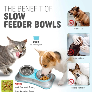 dog bowl that makes dogs eat slower