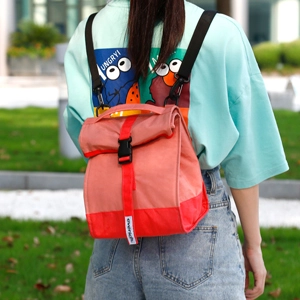 420d nylon insulated lunch bag wg08255 cost