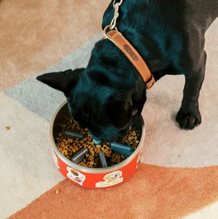 Anti-Choking Puzzle Dog Food Bowls 22004